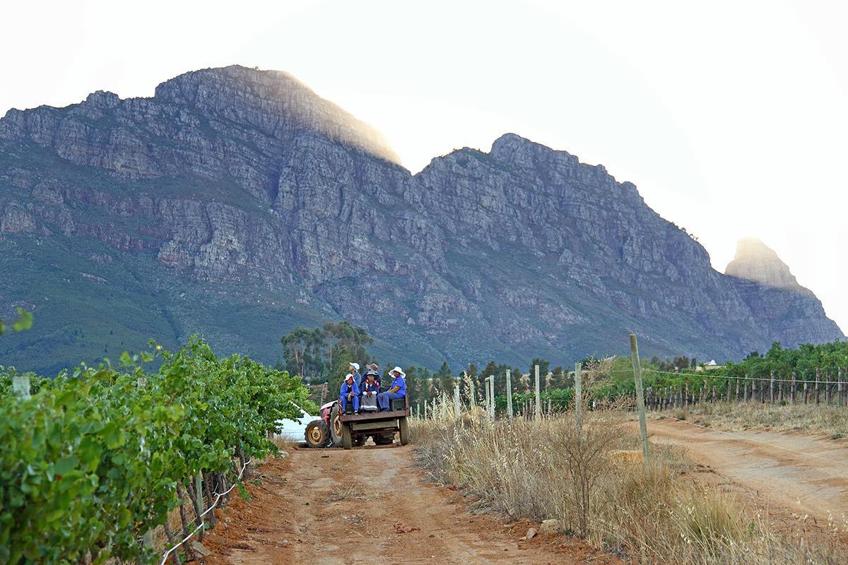 Muratie Wine Estate สเตลเลนบอช ภายนอก รูปภาพ