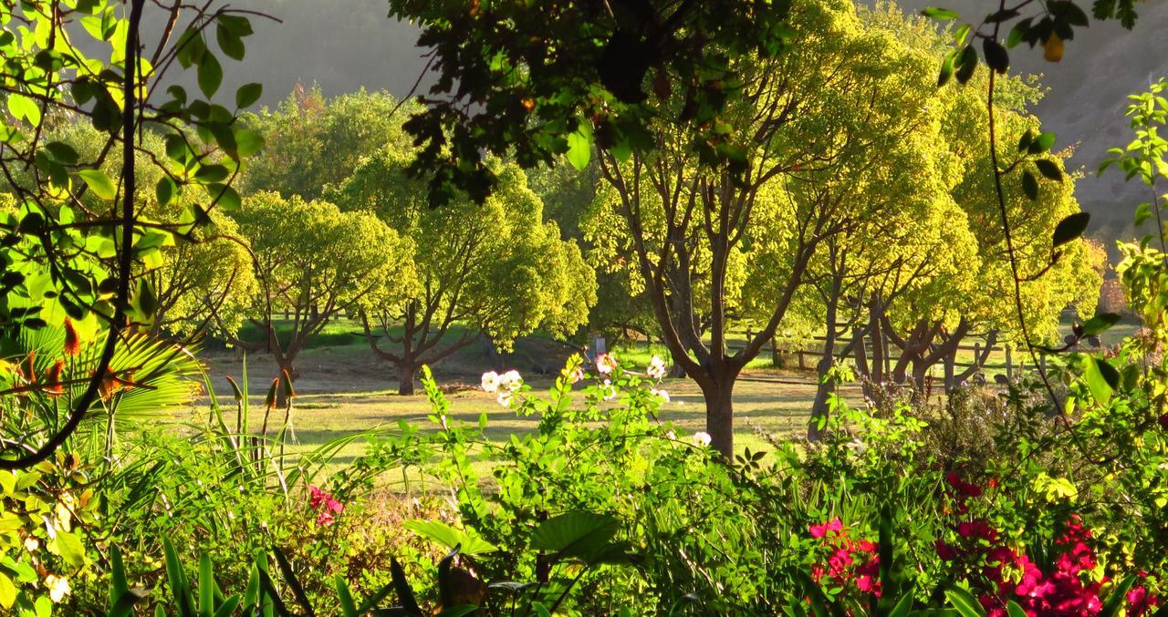 Muratie Wine Estate สเตลเลนบอช ภายนอก รูปภาพ