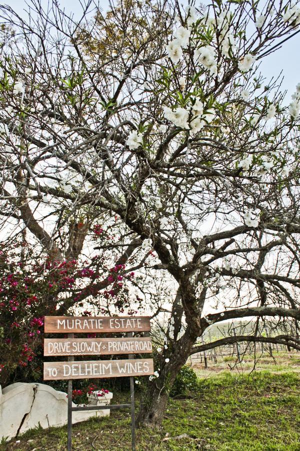 Muratie Wine Estate สเตลเลนบอช ภายนอก รูปภาพ